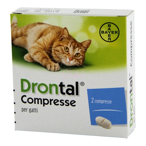 BAYER drontal gatto combatte i parassiti intestinali 2 compresse