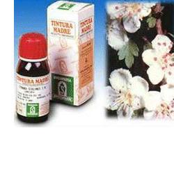 Biancospino 10 soluzione idroalcolica metodo TM 50 ml.