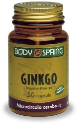 Ginkgo 120Mg 50Cps Bsp