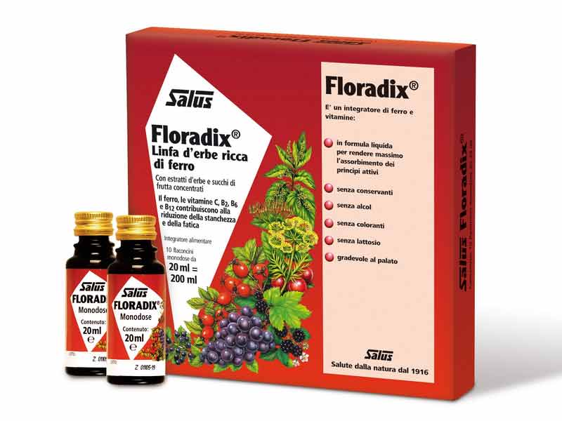 floradix ferro integratore alimentare 10 flaconcini 20 ml.