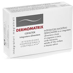COMETICI MAGISTRALI dermomatrix cofactor nutraceutico antiage 20 capsule